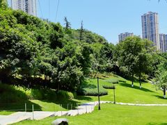 -龙头寺公园