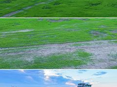 -鄱阳湖国家湿地公园