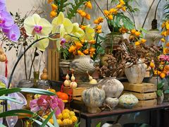 -溪岸路花鸟市场