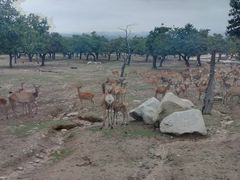 -西安秦岭野生动物园