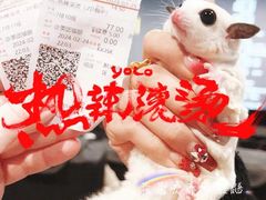 -首都电影院(西单店 LED巨幕)
