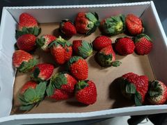 -盒马鲜生(杭州运河上街店)