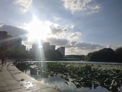 -新江湾城公园