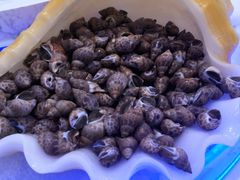-澜悦港海鲜体验主题餐厅