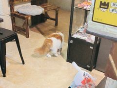 -逃脱反斗城沉浸剧情密室(北京路店)