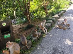 -姑婆山旅游区