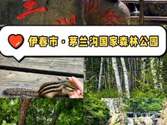 -茅兰沟国家森林公园