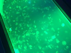 -福州罗源湾海洋世界旅游区