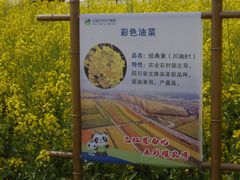 -中国天府农业博览园