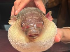 -永安鱼庄·镇江菜(东吴路店)