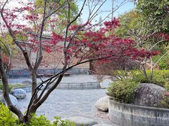 -和顺柏联温泉