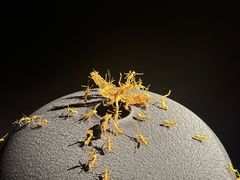-深圳珠宝博物馆