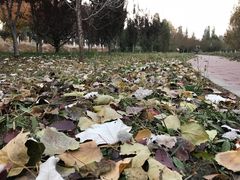 -香山公园-东宫门售票处