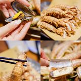 杭州探店｜老字号海鲜🦞大排档·深夜食堂超鲜‼️