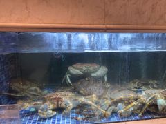 -顺峰(农展馆店)
