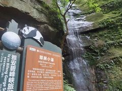 -碧峰峡风景区