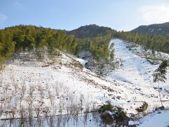 -四明山国家森林公园