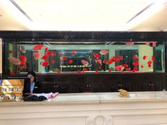 门面-鲤鱼门渔人码头自助餐厅