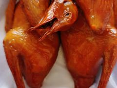 红烧乳鸽-味为先光明乳鸽(光明总店)