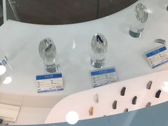 -上海市第一医药商店(南京东路店)