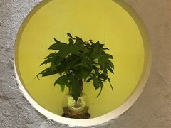 -春满园·早茶·粤菜·宴会(粤海店)