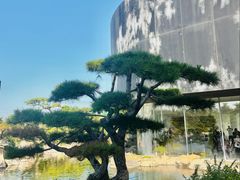 -罗红摄影艺术馆