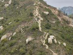 -鸡枕山