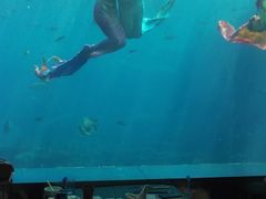 -瑞德姆美人鱼海底演艺主题餐厅(亚龙湾店)
