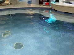 -水晶之星洗浴温泉汗蒸