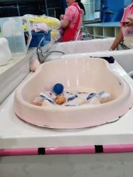 -熊妈妈母婴护理综合体