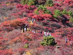 -水峪民俗村