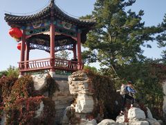 -大兴滨河森林公园