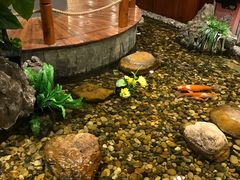 -丰圆轩粤式茶楼 . 点心粤菜(夏茅店)