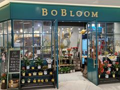 -BOBLOOM花店(宝龙旭辉广场店)