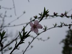 -张家港凤凰山景区河阳山歌馆