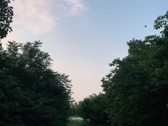 -汉长安城未央宫国家考古遗址公园