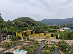 -宁波九龙湖开元度假村