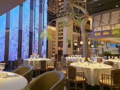 -桂满陇·海市蜃楼·黑金(国金店)