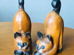 -梵猫·新养生(湛江鼎盛店)
