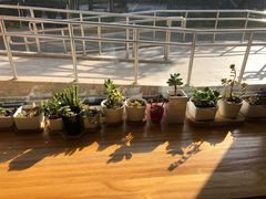 大堂-Cafe Villa