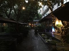 -T館·花园艺术餐厅