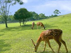 -良渚古城遗址公园