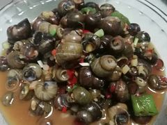 -全乐鱼馆·淳牌有机鱼直营店