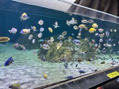 -江和美海洋公园