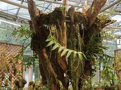 -国家植物园南园