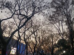 -苏州公园(双塔街道)