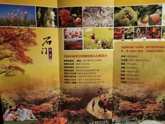-广州市石门国家森林公园