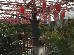 -老磨油饼(高陵店)