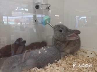 每次来西溪天街都要来看看这家店，最近又有什么可爱的小