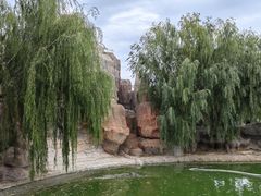 -龙口动植物园
